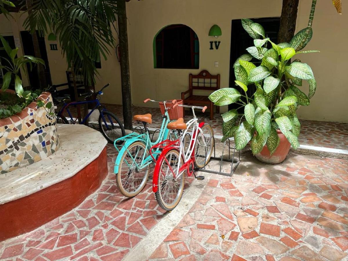 Hostal Mx 5Th Avenue Hostel *