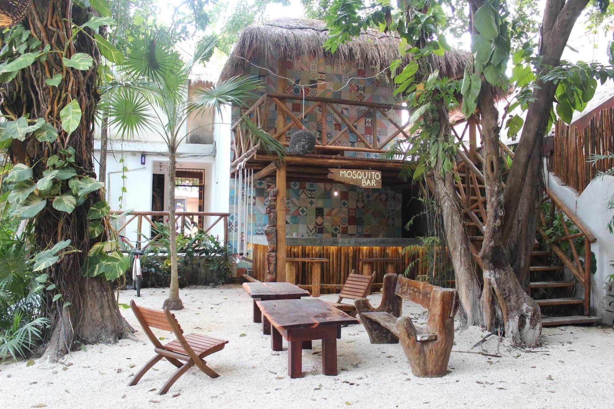 Mx 5th Avenue Auberge de jeunesse Playa del Carmen